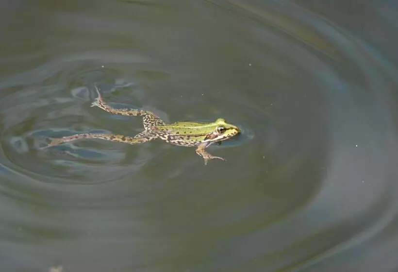 Majatalo Ivanek Guest House