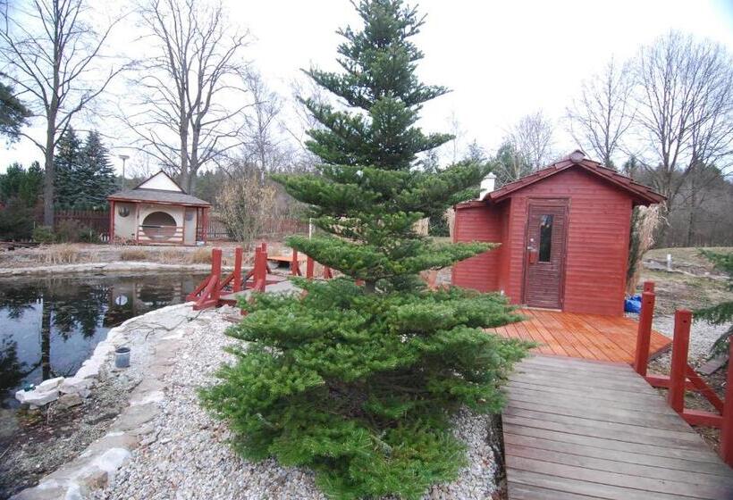 פנסיון Ivanek Guest House