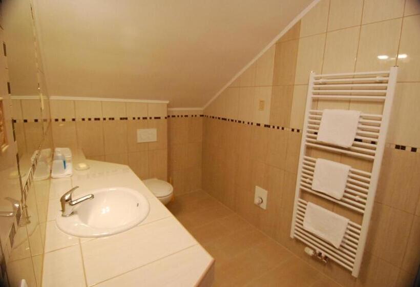 פנסיון Ivanek Guest House