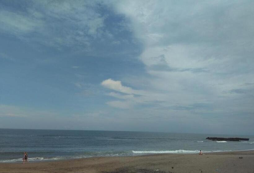 펜션 Temuku Guest House