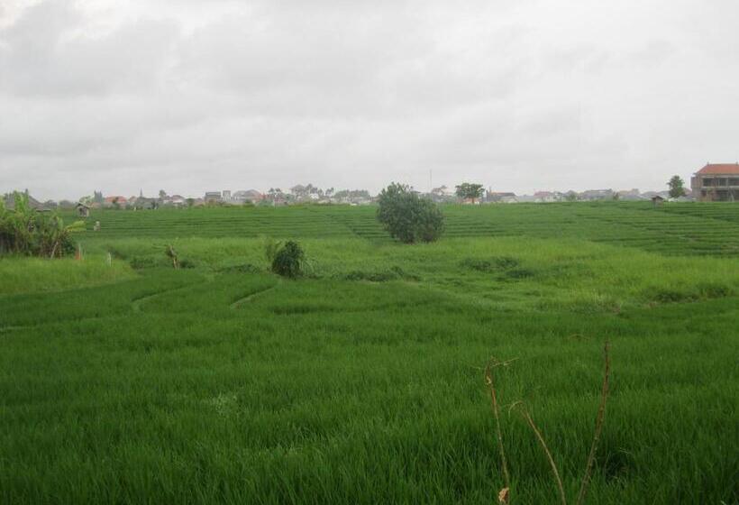 펜션 Temuku Guest House