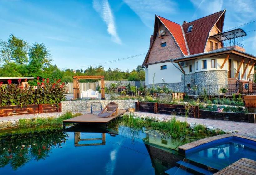 پانسیون Vintage Home Vendégház