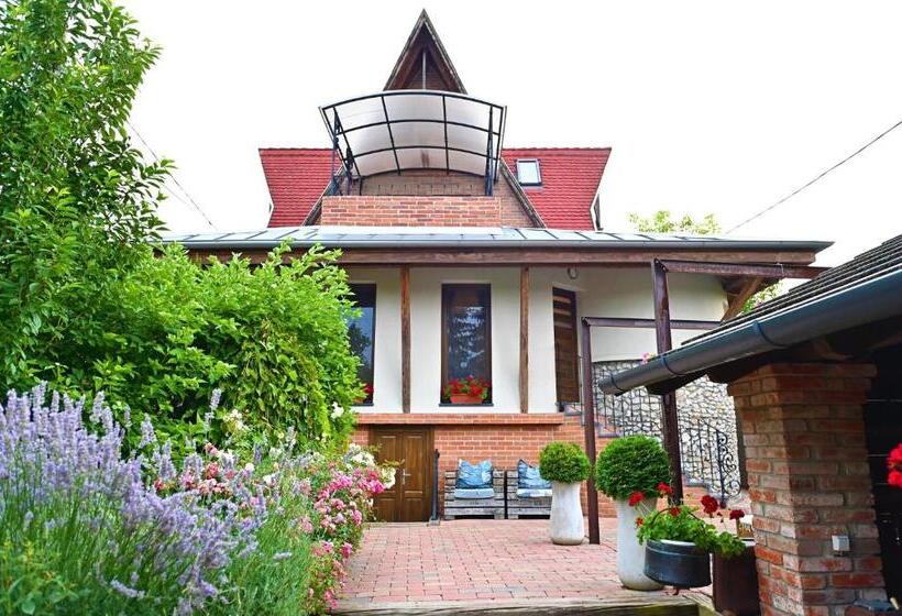 پانسیون Vintage Home Vendégház