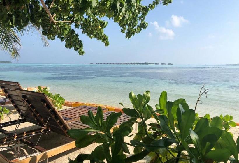 پانسیون Seginy Seaview