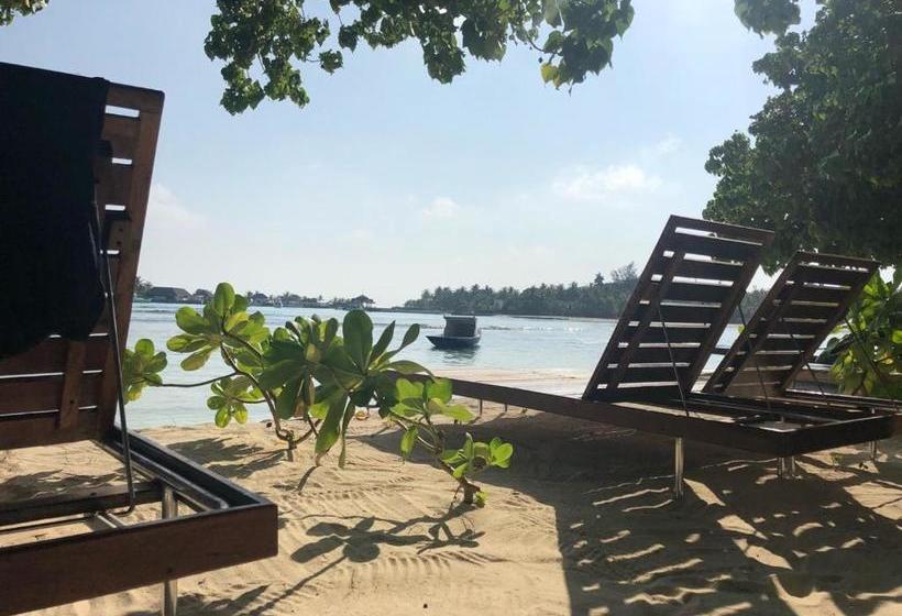 پانسیون Seginy Seaview