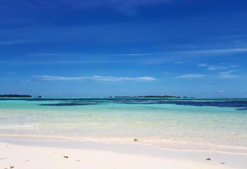 پانسیون Seginy Seaview