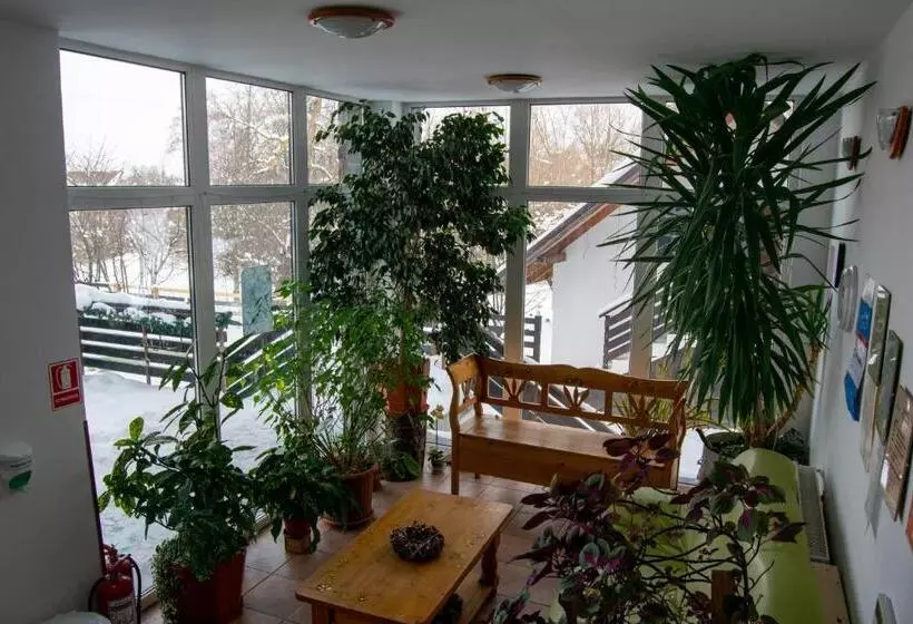 پانسیون Vila Alisa