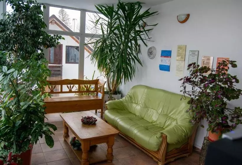 پانسیون Vila Alisa