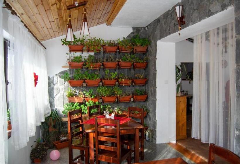 پانسیون Vila Alisa