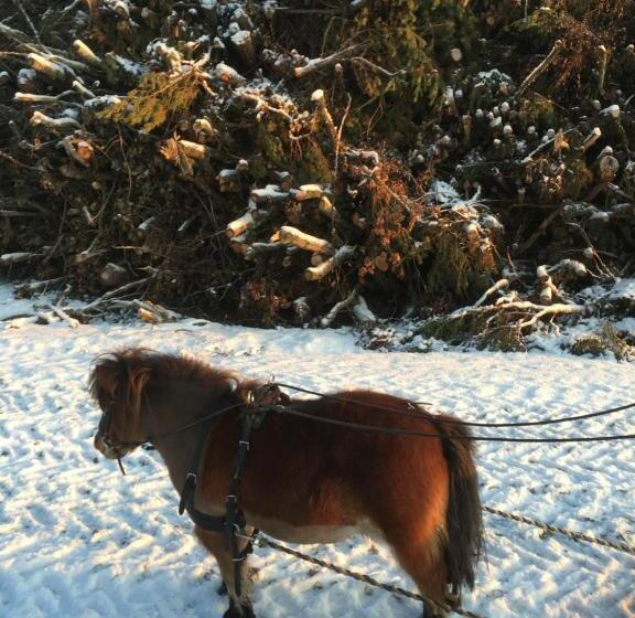 בית מלון כפרי Thorstorps Gård B&b