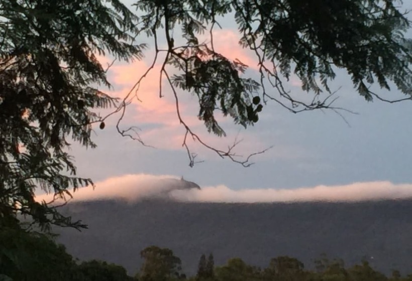 بنسيون Cuckoos Nest Guest House