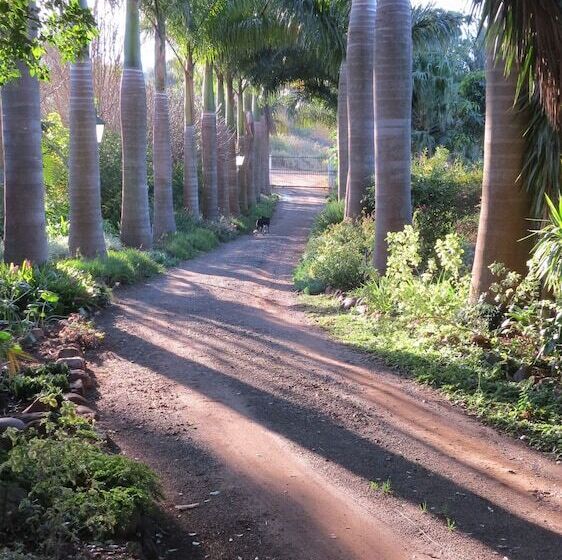 بنسيون Cuckoos Nest Guest House