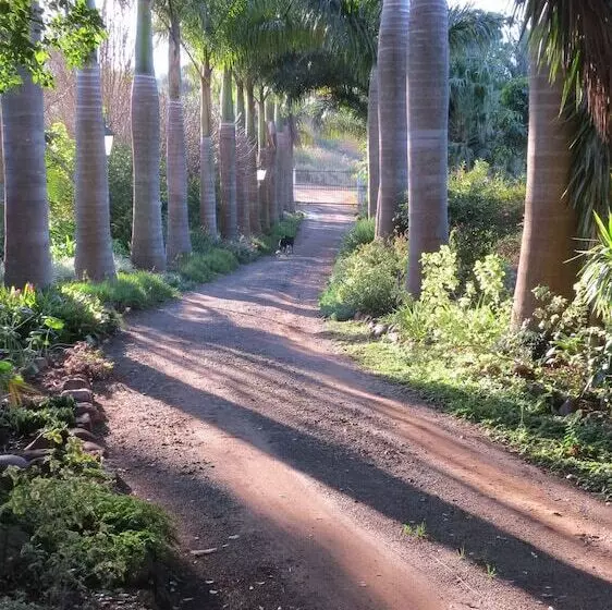 Majatalo Cuckoos Nest Guest House