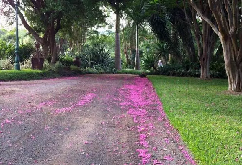 Majatalo Cuckoos Nest Guest House