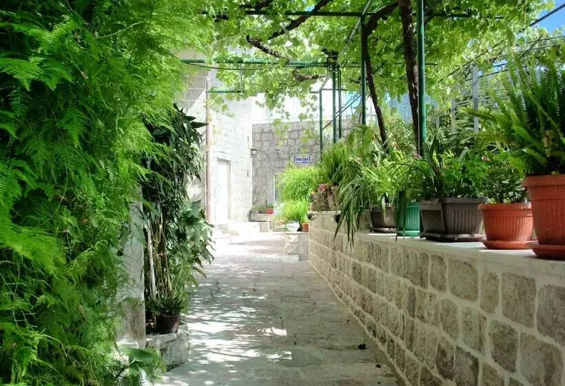 پانسیون Guest House Dragutinovic