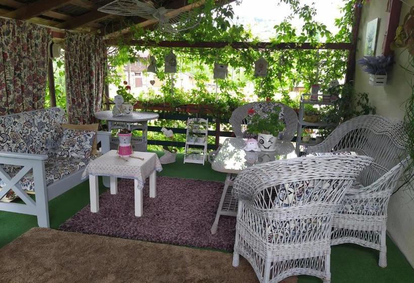 Pensione Kvitkovyi Rai