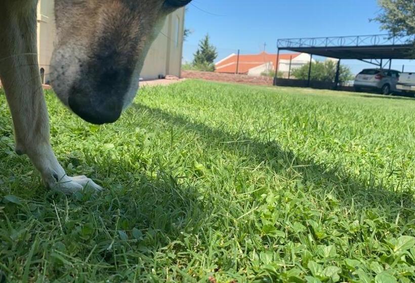 פנסיון La Posada De Salim