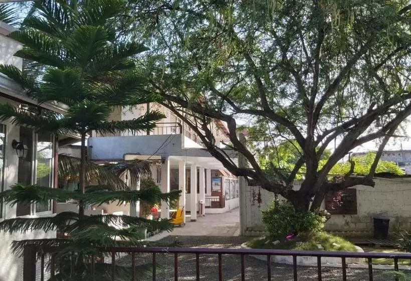 ペンション Hostal Gualingo