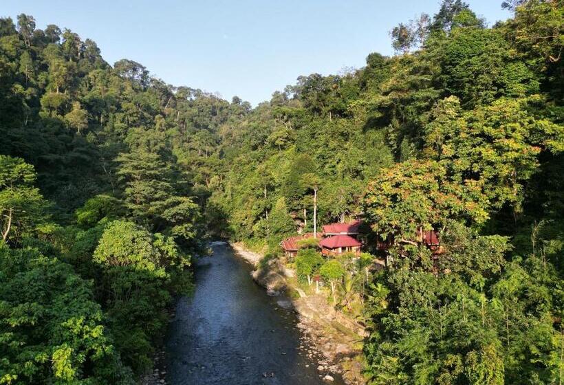 بنسيون Kupu Kupu Garden Guest House & Cafe