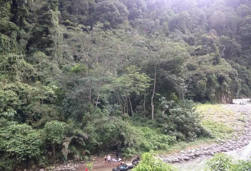 Majatalo Kupu Kupu Garden Guest House & Cafe