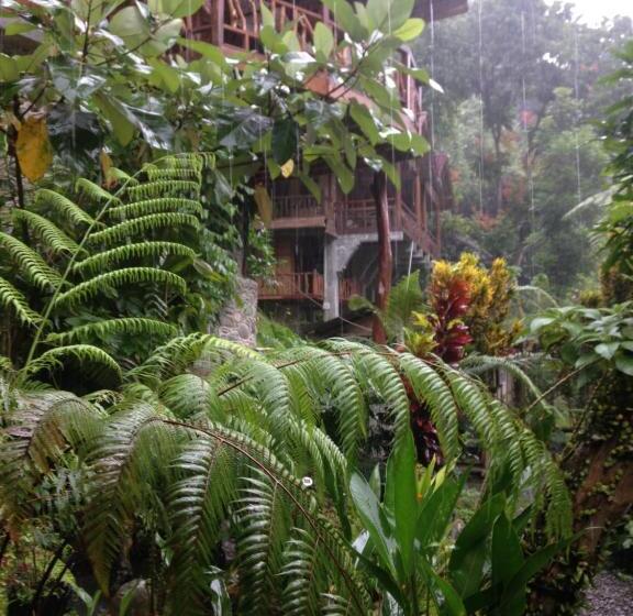 بنسيون Kupu Kupu Garden Guest House & Cafe