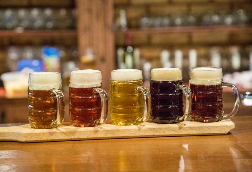 펜션 Penzion Harley Pub