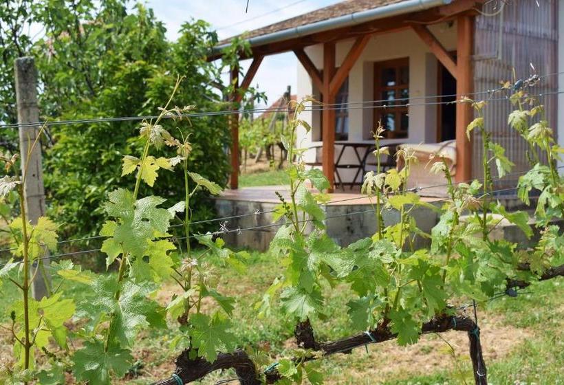 פנסיון Remete Lak