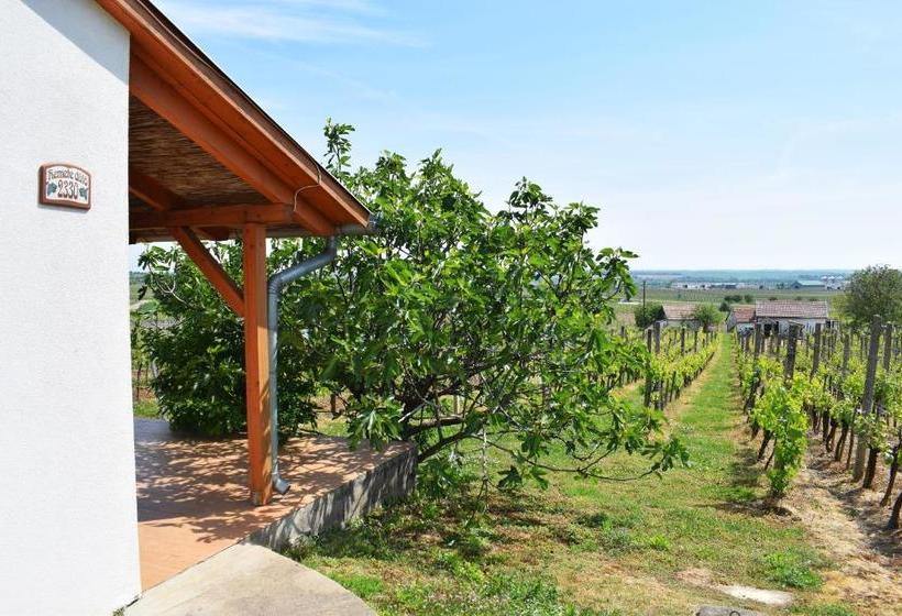 פנסיון Remete Lak