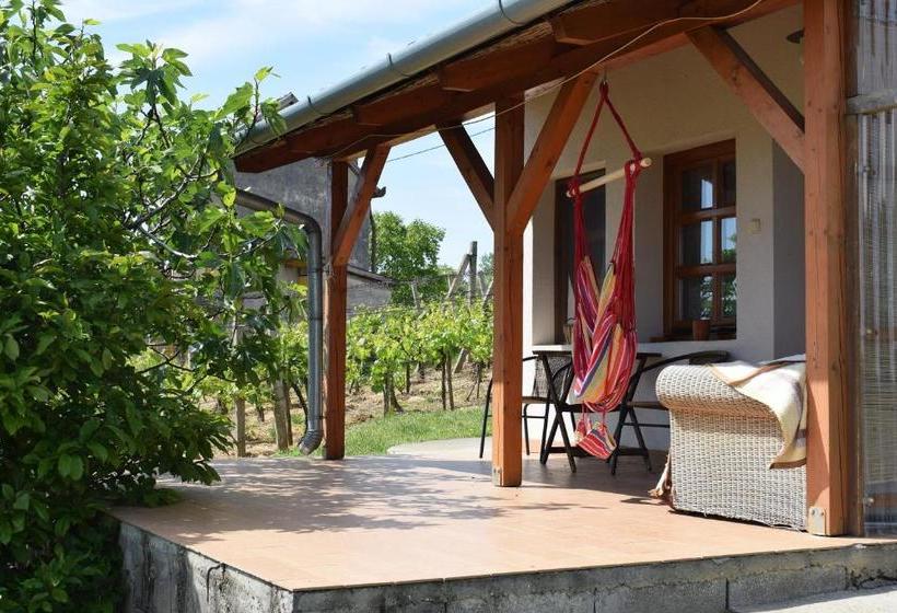 פנסיון Remete Lak