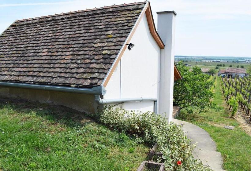 פנסיון Remete Lak