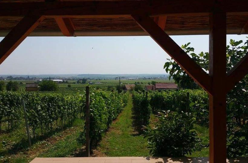 פנסיון Remete Lak