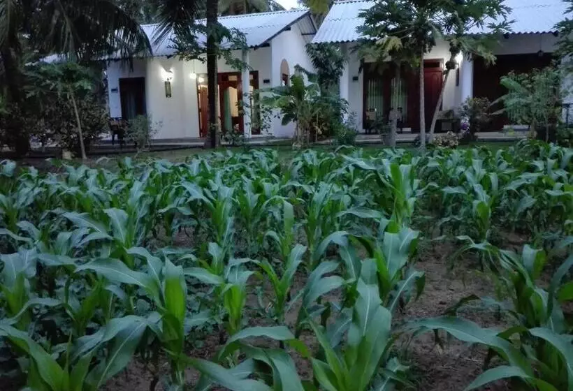 ペンション Hideaway Homestay Habarana