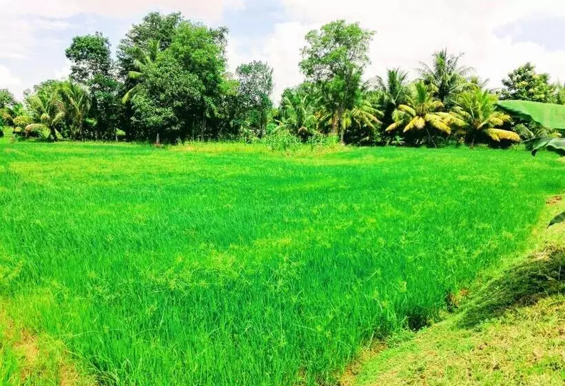 ペンション Hideaway Homestay Habarana