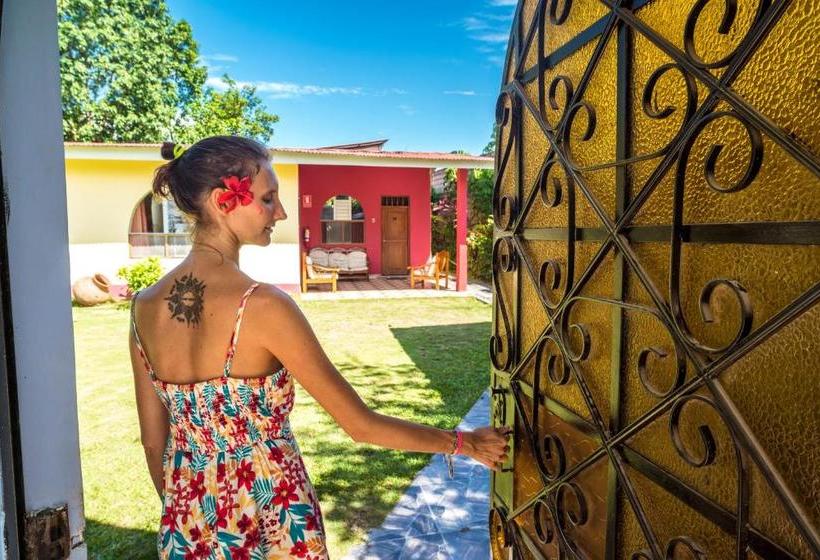 Hostel Goinn Tarapoto