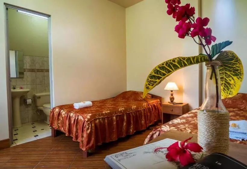 ユースホステル Goinn Tarapoto