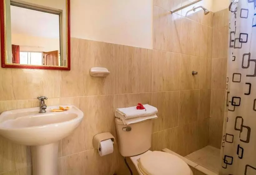 ユースホステル Goinn Tarapoto
