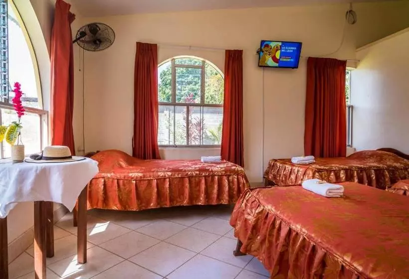 ユースホステル Goinn Tarapoto