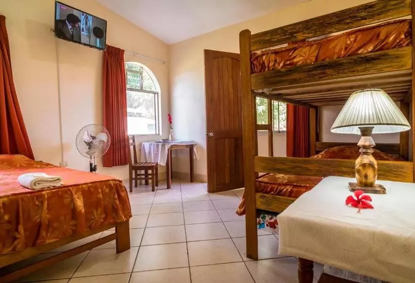 ユースホステル Goinn Tarapoto