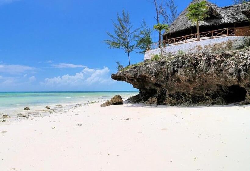 ベッドアンドブレックファースト Barabara House