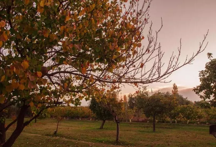 Finca Fisterra