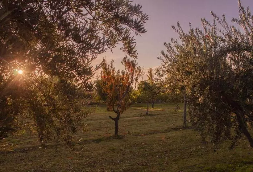 Finca Fisterra