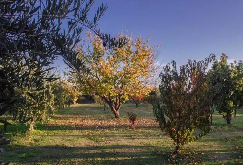 Finca Fisterra