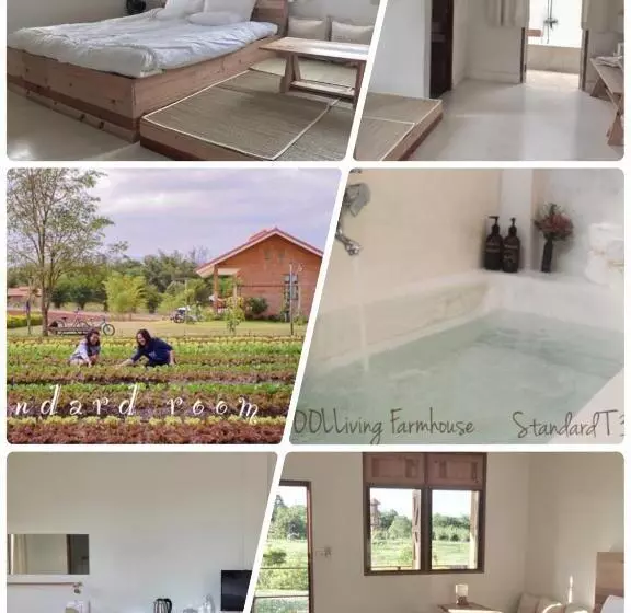 ホテル Coolliving Farmhouse Organic