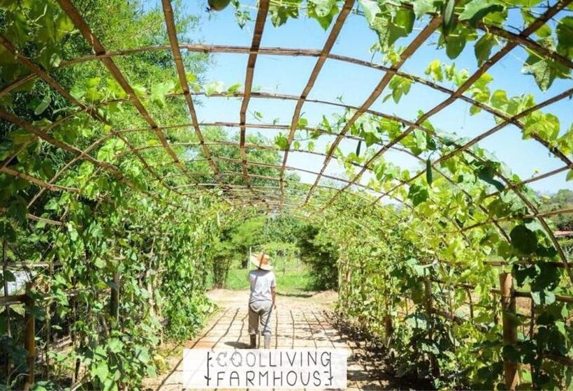 ホテル Coolliving Farmhouse Organic