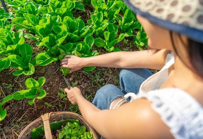 ホテル Coolliving Farmhouse Organic