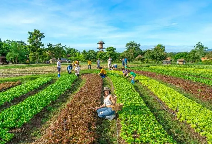 ホテル Coolliving Farmhouse Organic