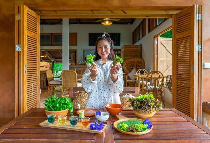 ホテル Coolliving Farmhouse Organic