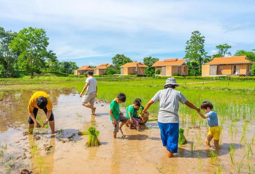 ホテル Coolliving Farmhouse Organic