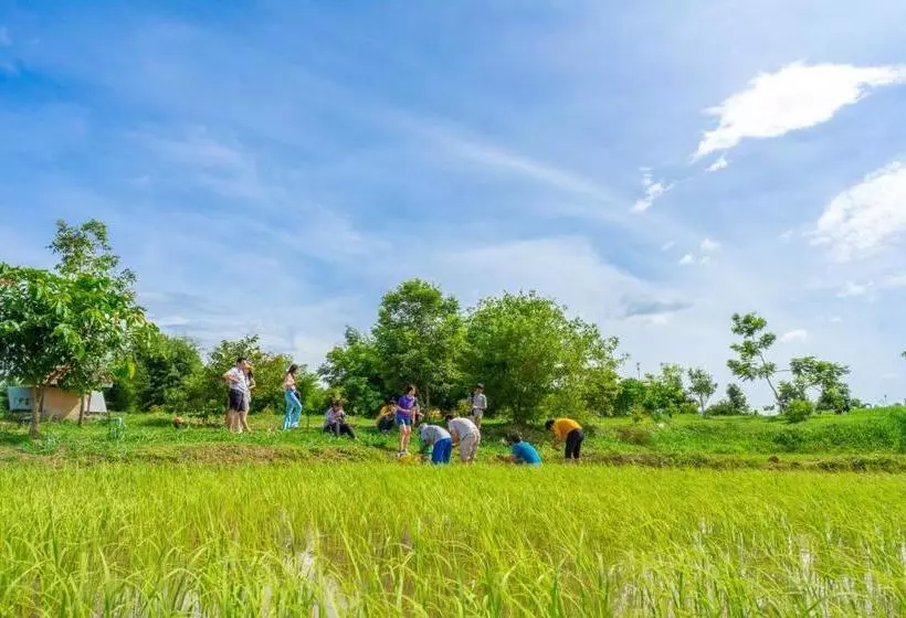 ホテル Coolliving Farmhouse Organic
