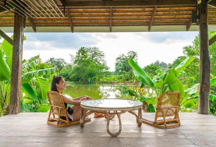 ホテル Coolliving Farmhouse Organic